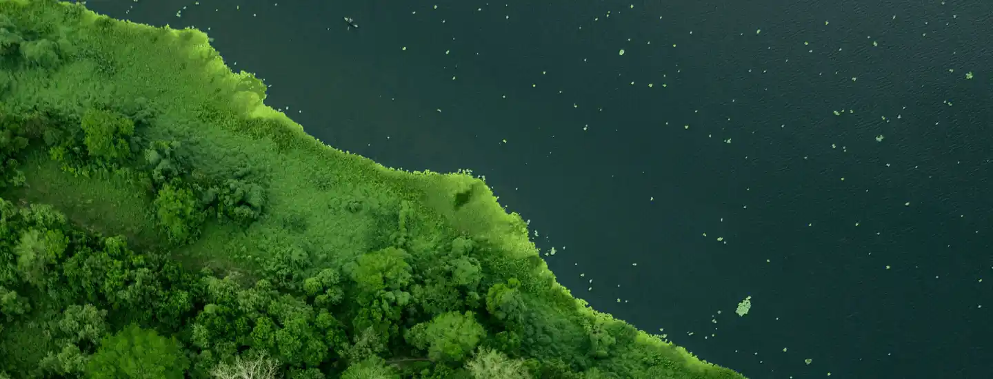 An overview photo of a forested green area next to a lake.