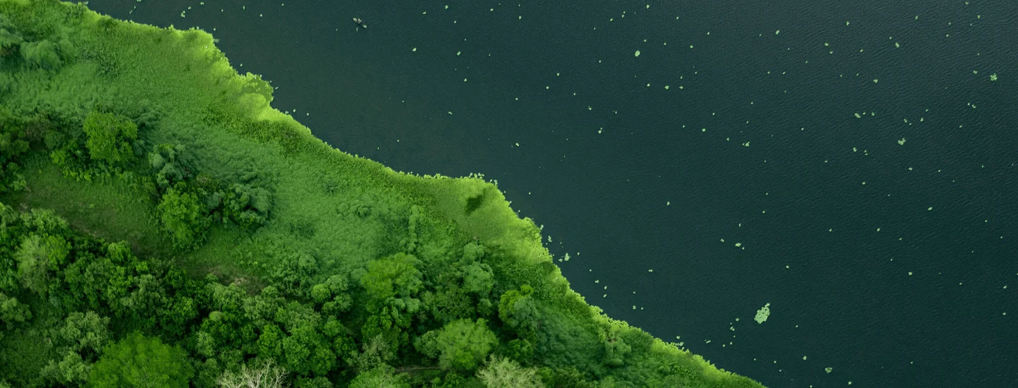 Photo d'ensemble d'une zone verte boisée à proximité d'un lac.