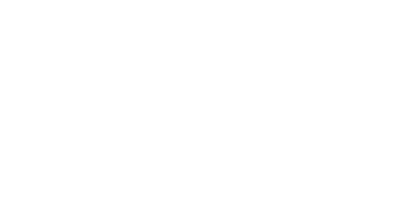 Maidenform logo
