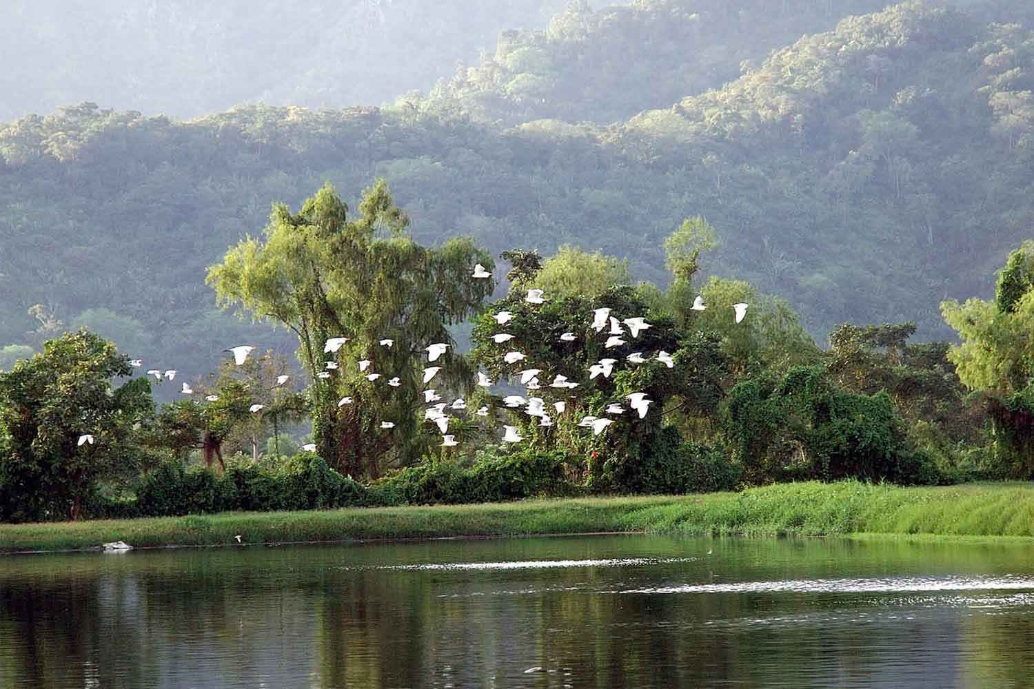 Gildan’s Biotop in Honduras has birds flying over the water and mountains in the background.