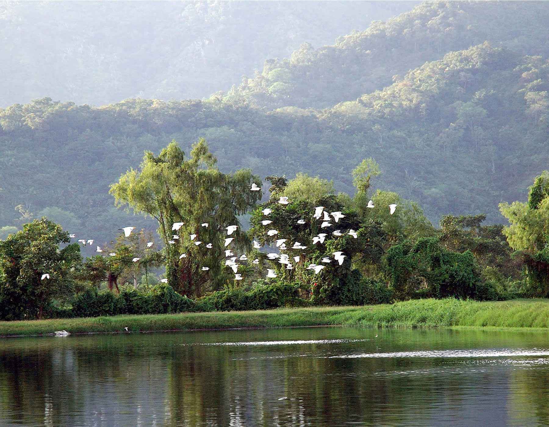 Gildan’s Biotop in Honduras has birds flying over the water and mountains in the background.