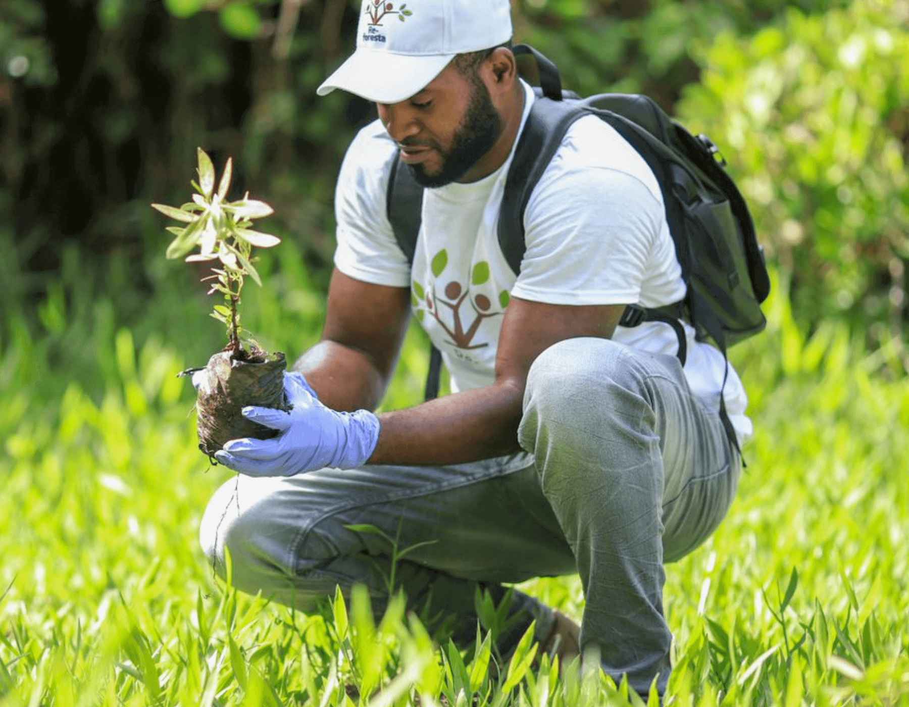 Un empleado de Gildan en Nicaragua sostiene una plántula de árbol que está a punto de plantar.