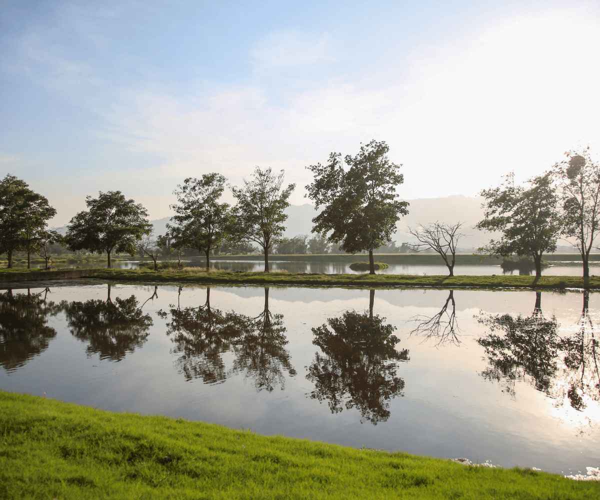 Gildan’s Biotop in Honduras, showing the lagoons and trees that surround the outdoor area.